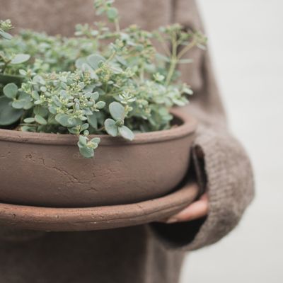 DBKD Terra Bowl Brun
