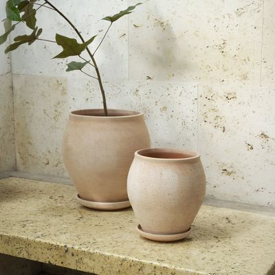 Bergs Potter Delphi RAW Kruka Med Fat Rosa, Ø 20 cm
