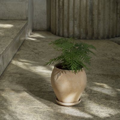 Bergs Potter Delphi RAW Kruka Med Fat Rosa, Ø 20 cm