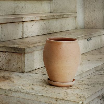 Bergs Potter Delphi RAW Kruka Med Fat Rosa, Ø 22 cm