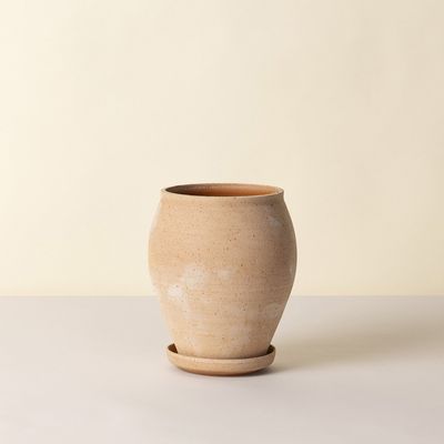 Bergs Potter Delphi RAW Kruka Med Fat Rosa, Ø 22 cm