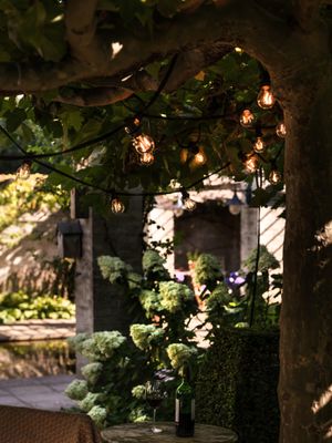 PR Home Bright light Pkt inkl. clear bulbs stick