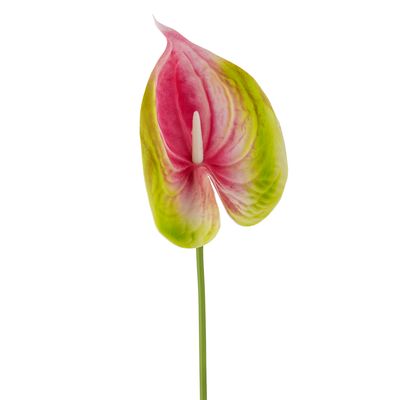 Stjälk Rosa Konstgjorda blommor Flamingo | Bloomingville
