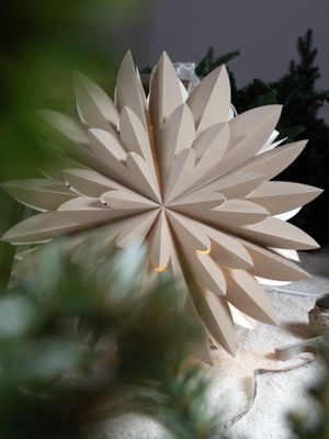 PR Home Hyacint star Beige 50cm