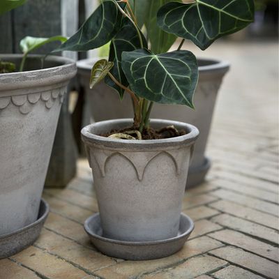 Bergs Potter Elizabeth RAW Kruka Med Fat Grå, Ø 25 cm