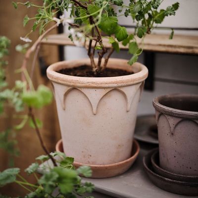 Bergs Potter Elizabeth RAW Kruka Med Fat Rosa, Ø 25 cm