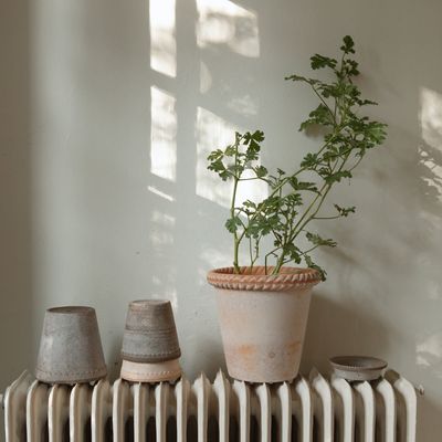 Bergs Potter Emilia RAW Kruka Med Fat Rosa, Ø 25 cm