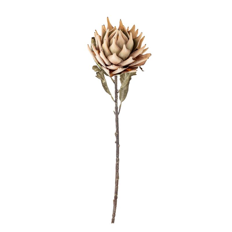 Stjälk Natur Konstgjorda blommor Protea | Bloomingville