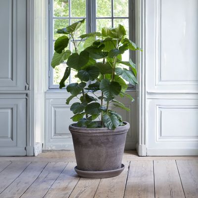 Bergs Potter Flora RAW Kruka Grå, Ø 50 cm