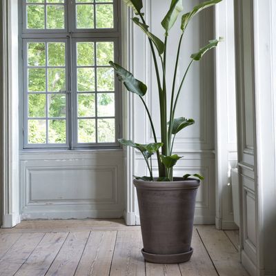 Bergs Potter Flora RAW Kruka Grå, Ø 60 cm