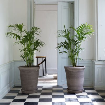 Bergs Potter Flora RAW Kruka Grå, Ø 60 cm