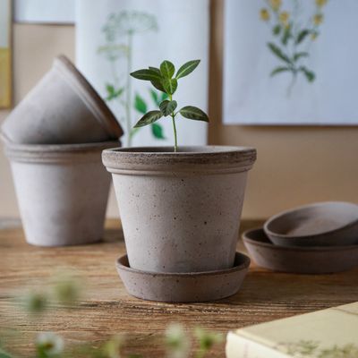 Bergs Potter Flora RAW Kruka Med Fat Grå, Ø 30 cm