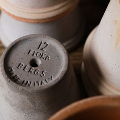 Bergs Potter Flora RAW Kruka Med Fat Grå, Ø 30 cm
