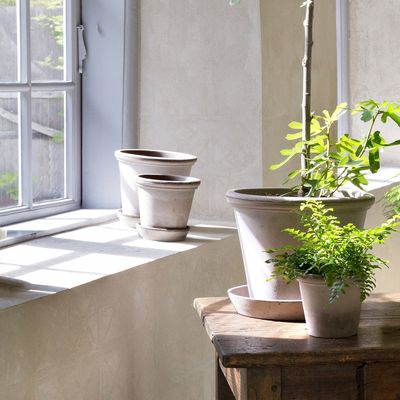 Bergs Potter Flora RAW Kruka Med Fat Grå, Ø 30 cm