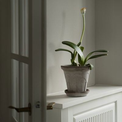 Bergs Potter Fleur RAW Kruka Med Fat Grå, Ø 25 cm