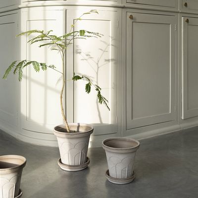 Bergs Potter Fleur RAW Kruka Med Fat Grå, Ø 25 cm