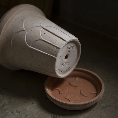 Bergs Potter Fleur RAW Kruka Med Fat Rosa, Ø 25 cm