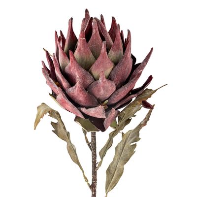 Stjälk Lila Konstgjorda blommor Protea | Bloomingville