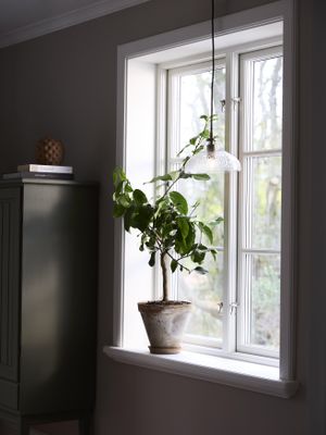 Maple Taklampa Klarglas 23cm Klar | PR Home