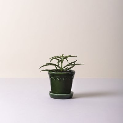Bergs Potter Københavner GLAZED Kruka Med Fat Smaragdgrön, Ø 14 cm
