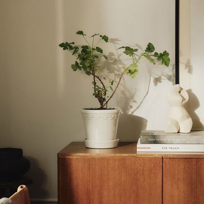 Bergs Potter Københavner GLAZED Kruka Med Fat Mineralvit, Ø 25 cm