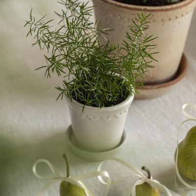 Bergs Potter Københavner GLAZED Kruka Med Fat Mineralvit, Ø 18 cm
