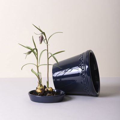 Bergs Potter Københavner GLAZED Kruka Med Fat Safirblå, Ø 18 cm