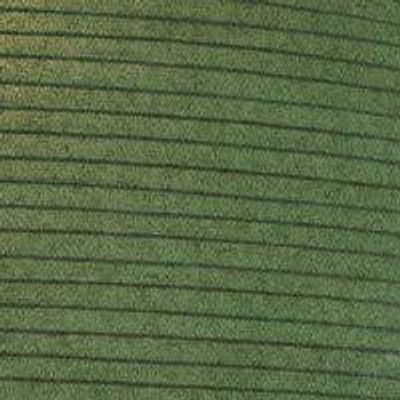 PR Home Haru Takskärm Grön 50cm