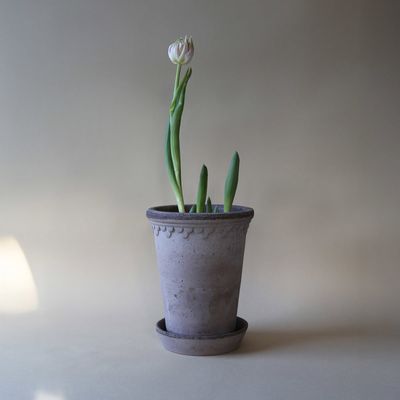 Bergs Potter Københavner RAW Hög Kruka Med Fat Grå, Ø 18 cm