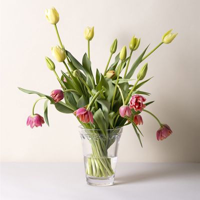 Bergs Potter Københavner GLASS Vas Transparent, Ø 11 cm