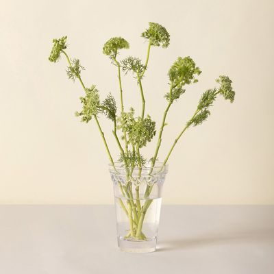 Bergs Potter Københavner GLASS Vas Transparent, Ø 11 cm