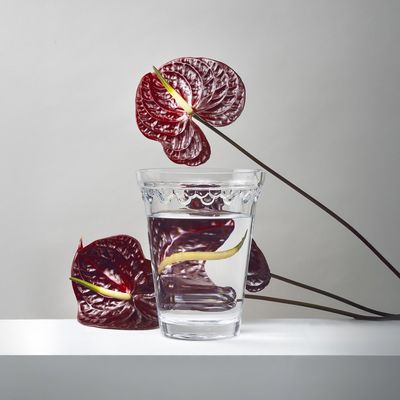 Bergs Potter Københavner GLASS Vas Transparent, Ø 11 cm