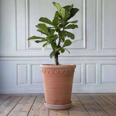 Bergs Potter Københavner Kruka RAW Rosa, Ø 60 cm