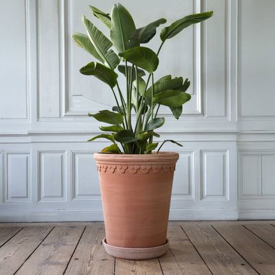 Bergs Potter Københavner Kruka RAW Rosa, Ø 60 cm