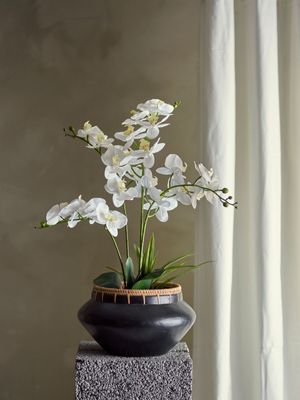 Bloomingville Orchid Växt Grön Konstgjorda blommor