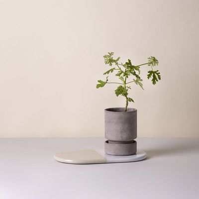 Bergs Potter Hoff RAW Kruka Grå, Ø 25 cm