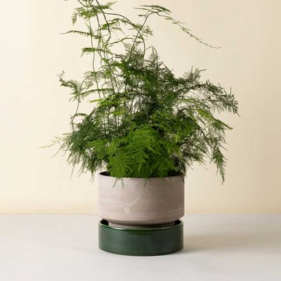 Bergs Potter Hoff RAW Kruka Grå, Ø 40 cm