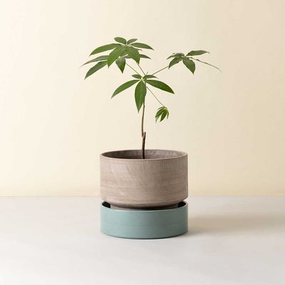 Bergs Potter Hoff RAW Kruka Grå, Ø 40 cm
