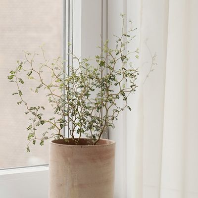 Bergs Potter Hoff RAW Kruka Rosa, Ø 25 cm