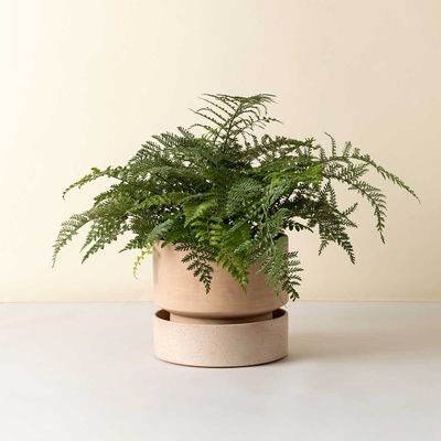 Bergs Potter Hoff RAW Kruka Rosa, Ø 30 cm