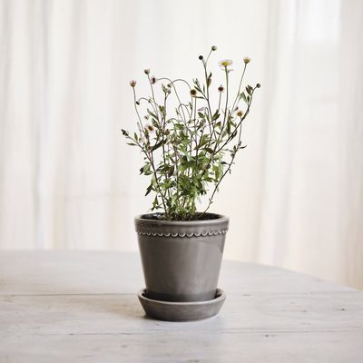 Bergs Potter Helena GLAZED Kruka Med Fat Pärlgrå, Ø 18 cm