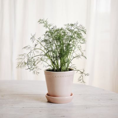 Bergs Potter Helena GLAZED Kruka Med Fat Rosenkvarts, Ø 18 cm