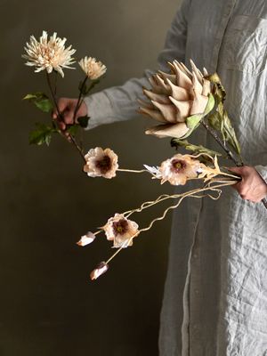 Stjälk Natur Konstgjorda blommor Protea | Bloomingville