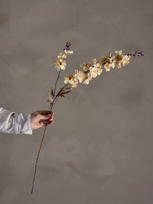 Stjälk Natur Konstgjorda blommor Larkspur | Bloomingville