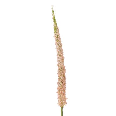 Stjälk Rosa Konstgjorda blommor Foxtail | Bloomingville