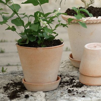 Bergs Potter Julie RAW Kruka Med Fat Rosa, Ø 25 cm