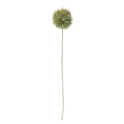 Stjälk Grön Konstgjorda blommor Allium | Bloomingville