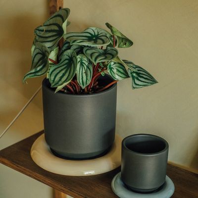 Bergs Potter Lily GLAZED Kruka Mörkgrön, Ø 25 cm
