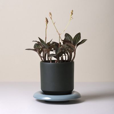 Bergs Potter Lily GLAZED Kruka Mörkgrön, Ø 25 cm