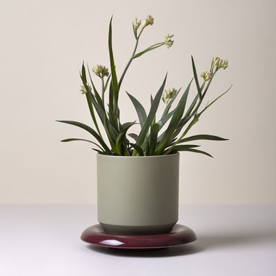 Bergs Potter Lily GLAZED Kruka Salviagrön, Ø 25 cm